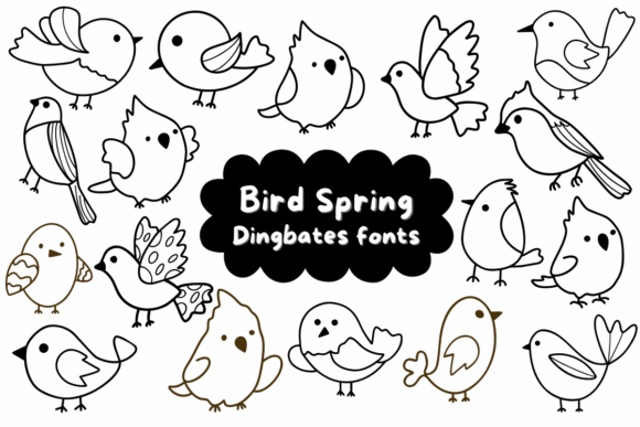 Bird Spring Font - Featured Image