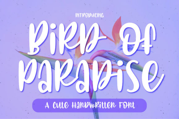 Bird of Paradise Font - Featured Image