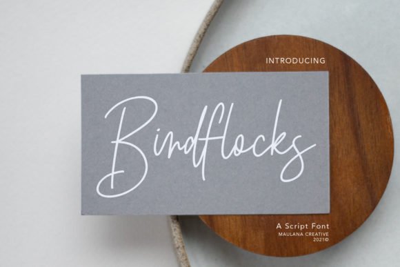 Birdflocks Script Font - Featured Image