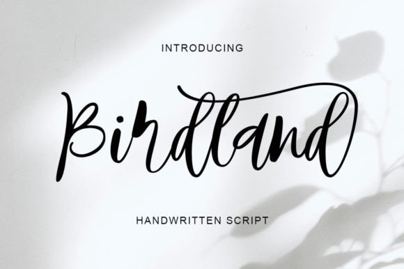 Birdland Font - Featured Image