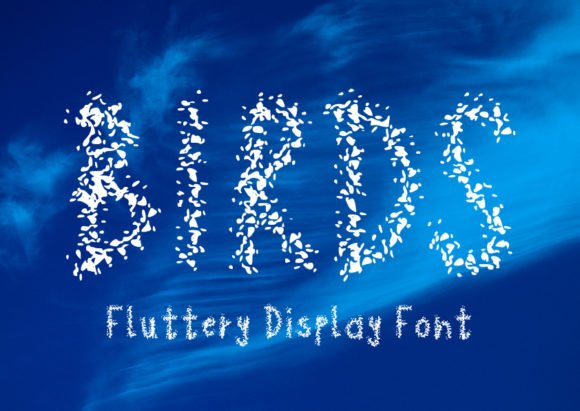 Birds Font - Featured Image