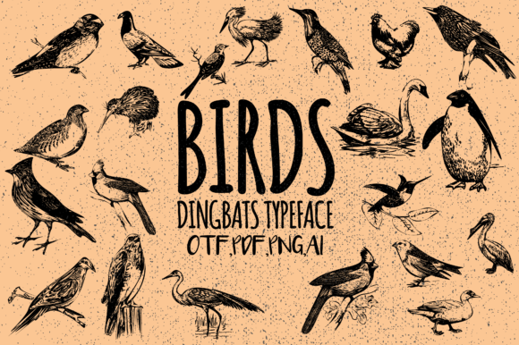 Birds Font - Featured Image