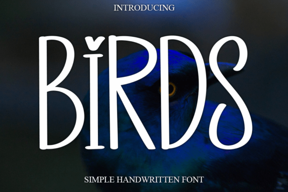 Birds Font - Featured Image