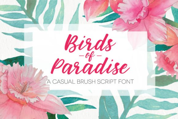 Birds of Paradies Font - Featured Image