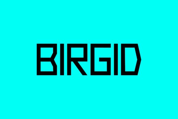Birgid Font - Featured Image