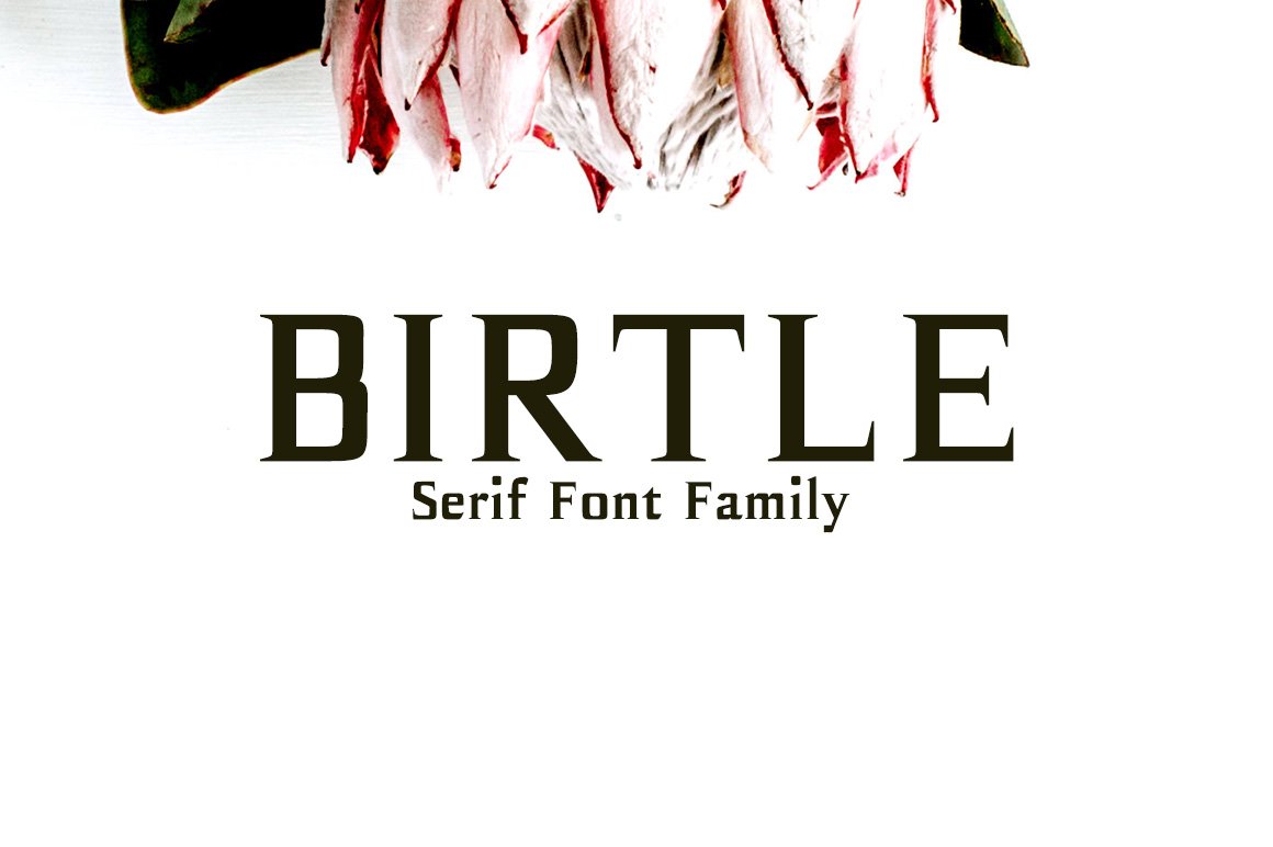 Birtle Font - Featured Image
