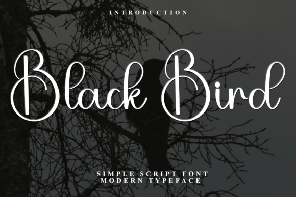 Black Bird Font - Featured Image