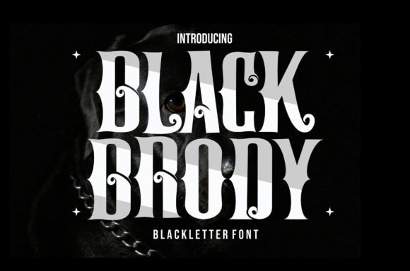 Black Brody Font - Featured Image