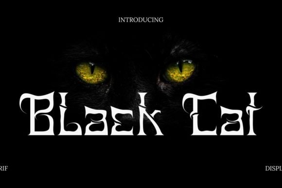 Black Cat Font - Featured Image