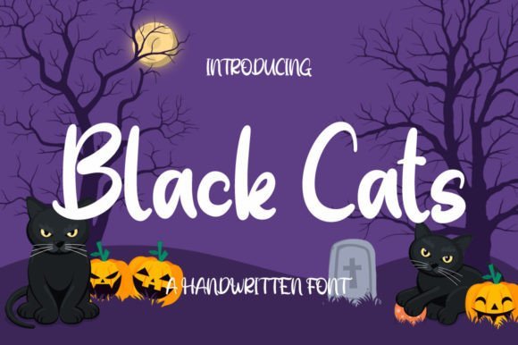 Black Cats Font - Featured Image