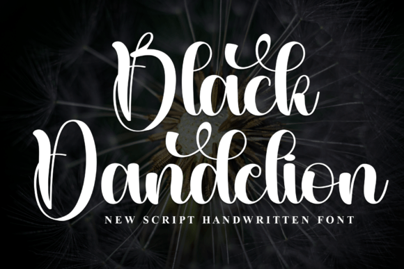 Black Dandelion Font - Featured Image