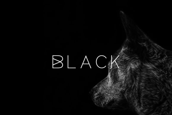 Black Font - Featured Image