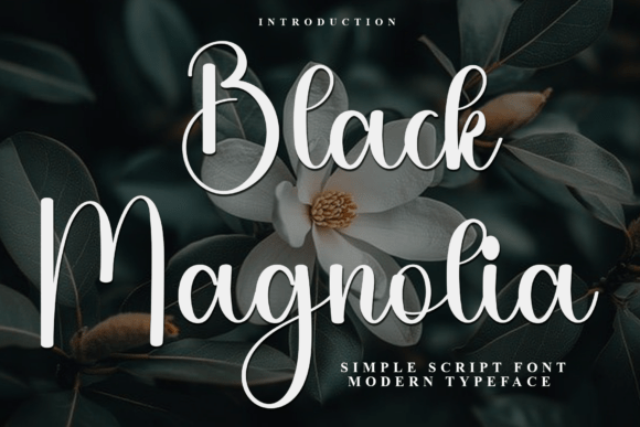 Black Magnolia Font - Featured Image