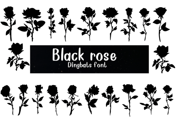 Black Rose Font - Featured Image