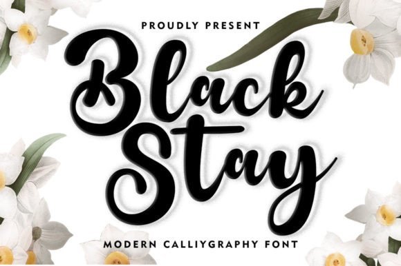 Black Stay Font - Featured Image
