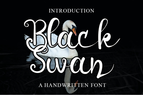Black Swan Font - Featured Image