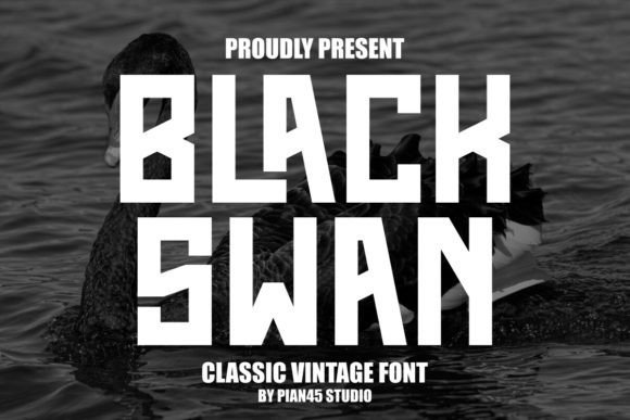 Black Swan Font - Featured Image