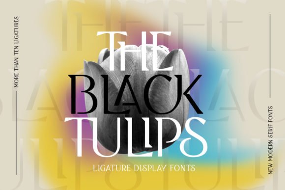 Black Tulip Font - Featured Image
