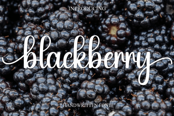 Blackberry Font - Featured Image