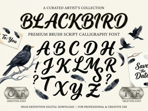 Blackbird Font - Featured Image