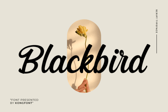 Blackbird Font - Featured Image