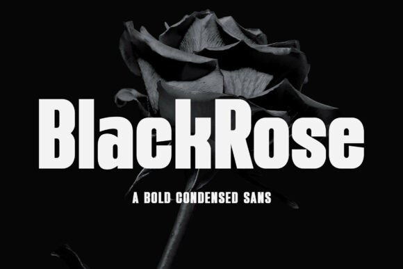 Blackrose Font - Featured Image