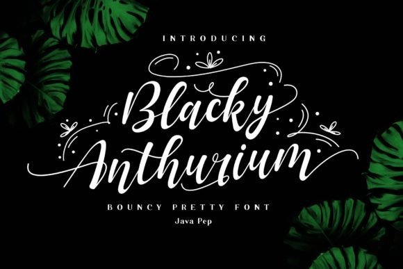 Blacky Anthurium Font - Featured Image