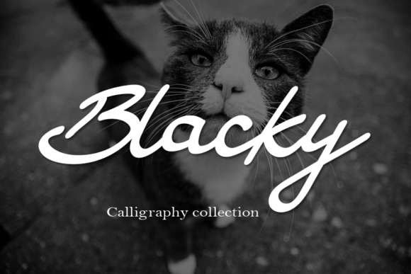 Blacky Font - Featured Image