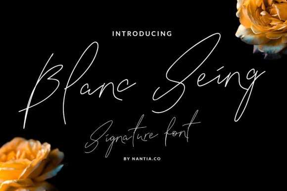 Blanc Seing Font - Featured Image