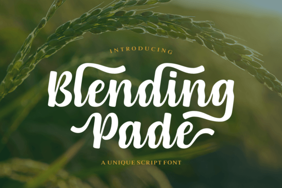 Blending Pade Font - Featured Image
