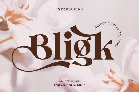 Bligk Font - Featured Image