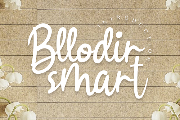 Bllodir Smart Font - Featured Image