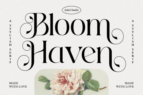 Bloom Haven Font - Featured Image