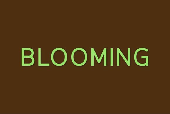 Blooming Font - Featured Image