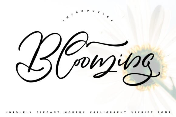Blooming Font - Featured Image