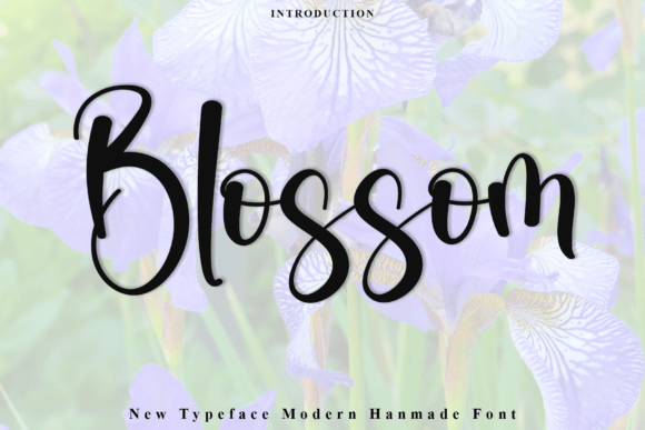 Blossom Font - Featured Image