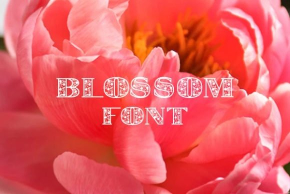 Blossom Font - Featured Image