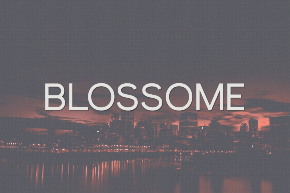 Blossome Font - Featured Image