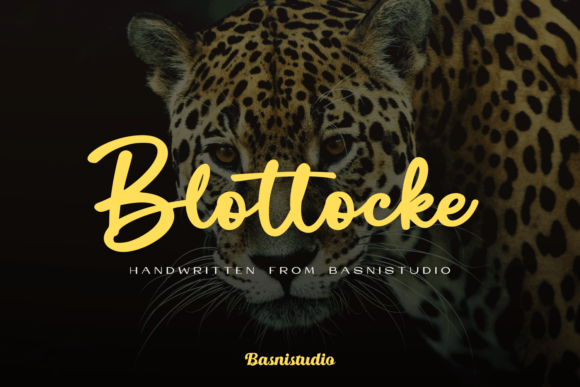 Blottocke Font - Featured Image