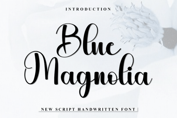 Blue Magnolia Font - Featured Image
