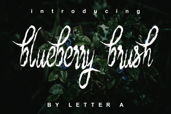 Blueberry Brush Font - Featured Image