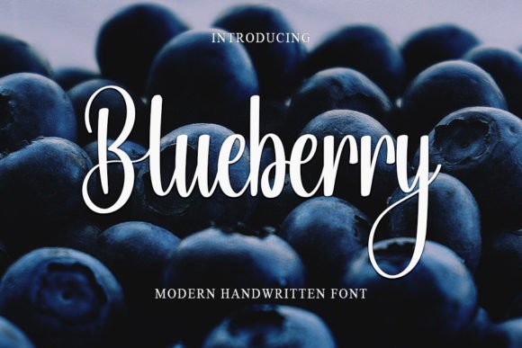 Blueberry Font - Featured Image