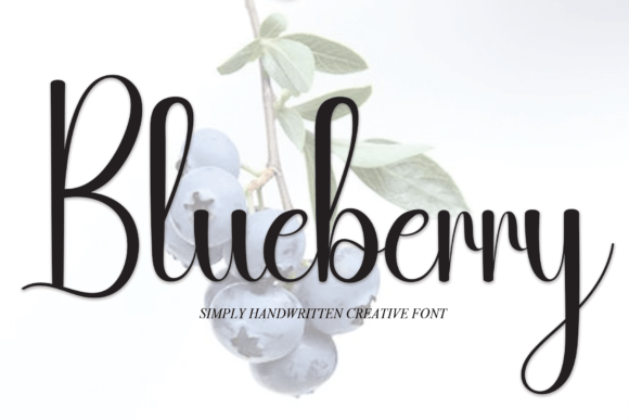 Blueberry Font - Featured Image