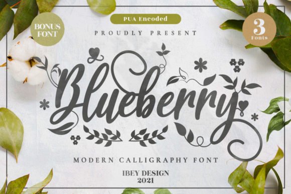 Blueberry Font - Featured Image