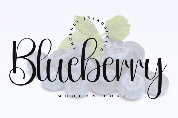 Blueberry Font - Featured Image