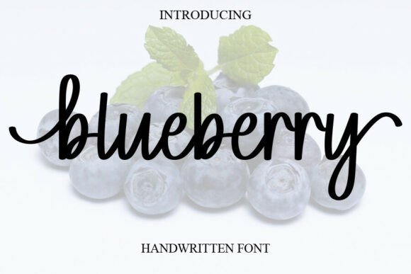 Blueberry Font - Featured Image