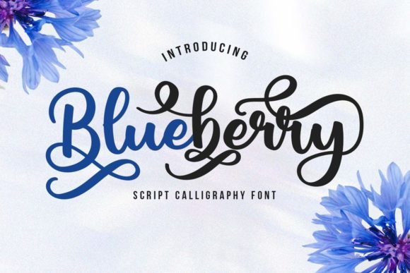 Blueberry Script Font - Featured Image