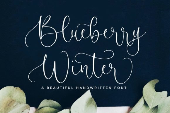 Blueberry Winter Font - Featured Image