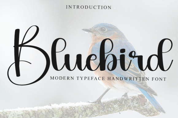 Bluebird Font - Featured Image