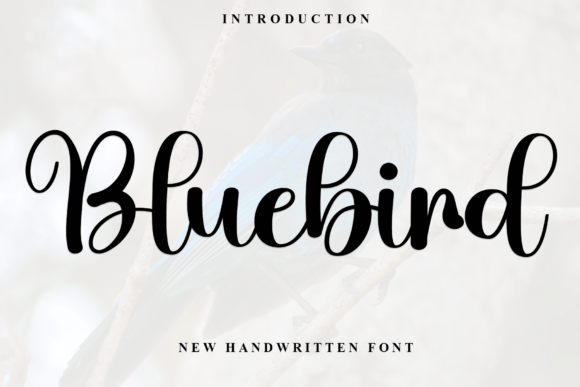 Bluebird Font - Featured Image